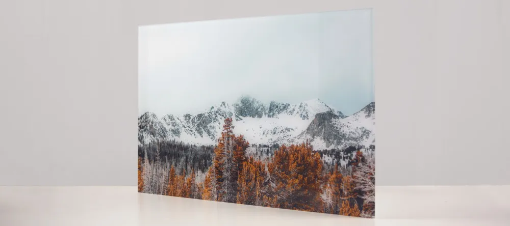 Alu Dibond oder Acrylglas - Acrylglas