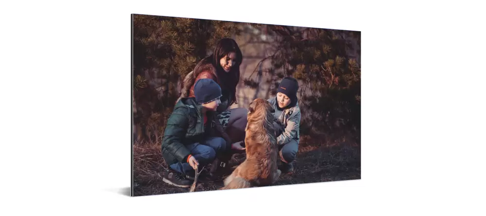 Detailreicher und farbintensiver Fotodruck auf Alu-Dibond