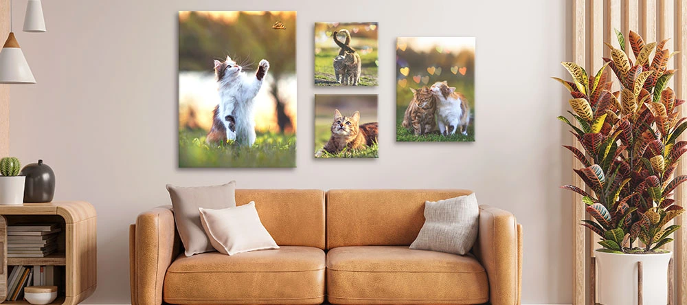 Ideen für Katzen-Leinwandbilder