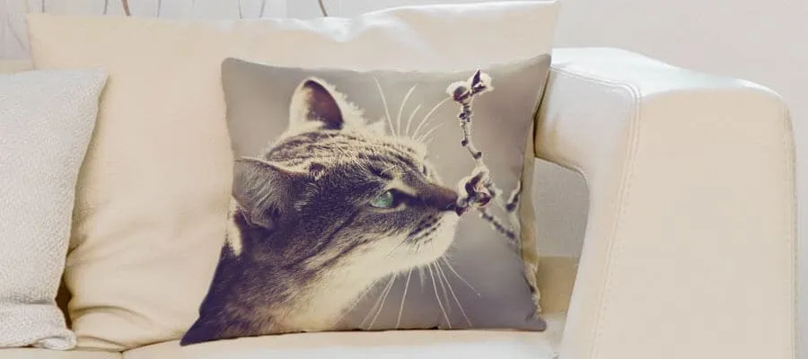 Gerade tierisch modern: Kissenbezüge mit Tiermotiven