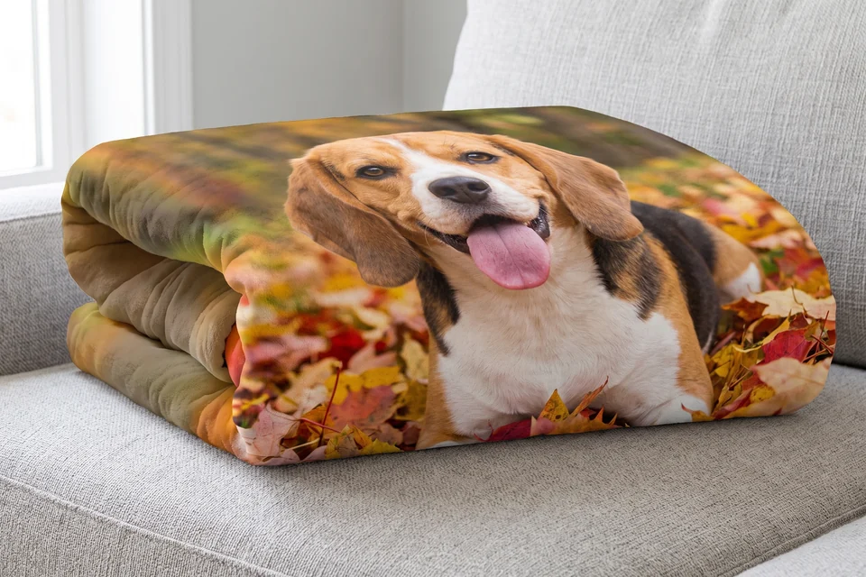 Fotodecke mit Hundefoto auf einem Sofa