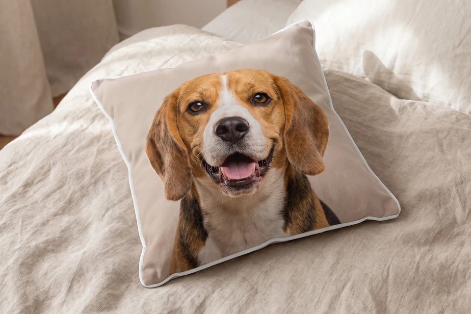 Fotokissen mit Hundefoto auf einem Bett