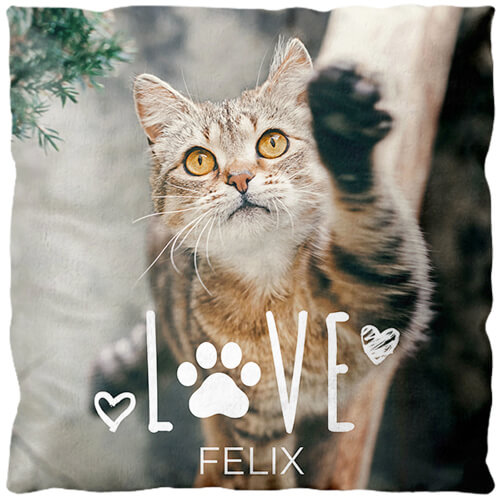 Fotokissen Collage Quer - Katzenliebe