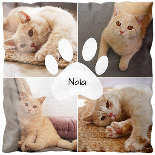 Fotokissen Collage Quer - Katzenpfote