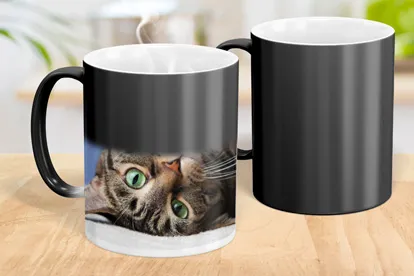 Zaubertasse mit Foto im Raum 