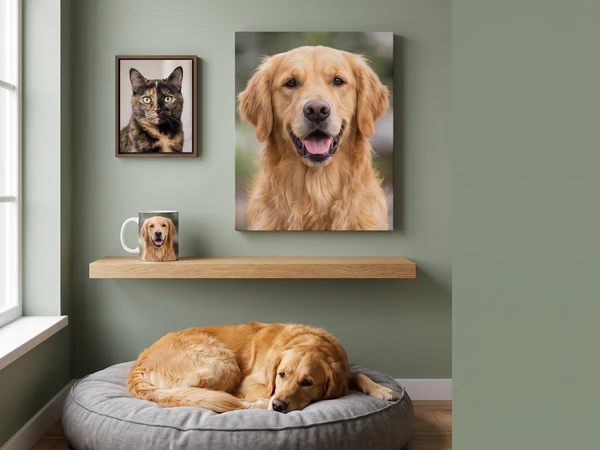 Hundefoto als Leinwand und Katzenfoto im Schattenfugenrahmen über dem Hundebett