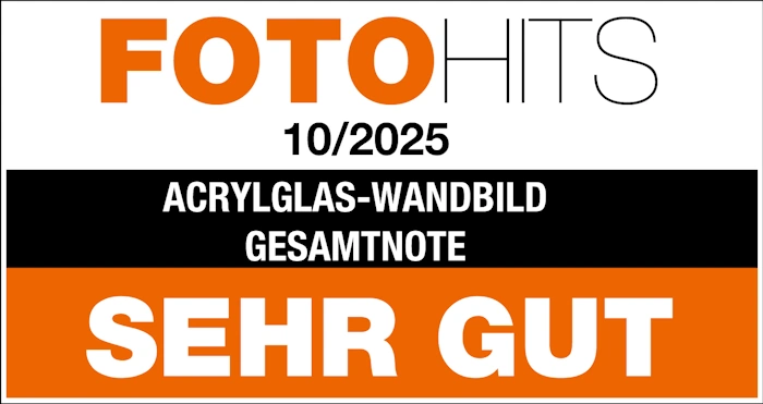 profi foto badge