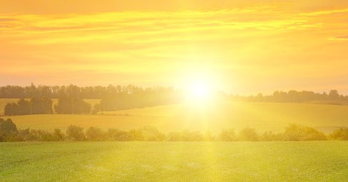 Wundervolle Bilder mit Gegenlicht