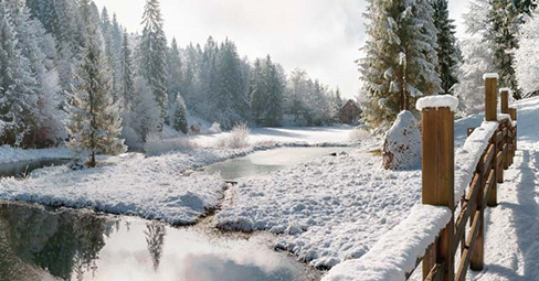 Tipps für atemberaubende Winterfotos