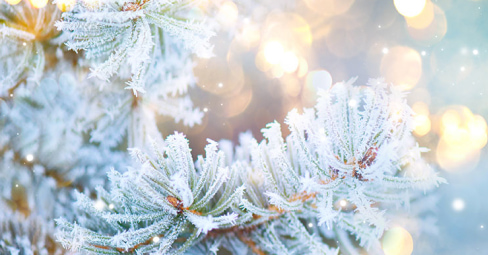 Atmosphärische Wintermotive