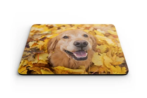 Das Foto-Mousepad: Ein Muss für deinen Schreibtisch