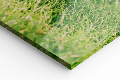 Acrylglasbilder Detailansicht