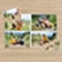 Collage‑Puzzle